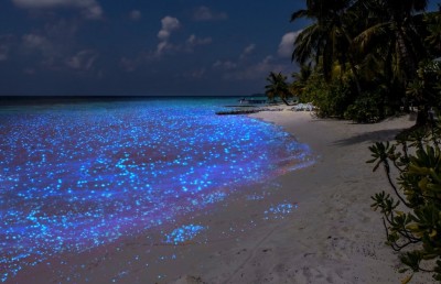 ރެދަނުން ވިދާ ބަބުޅާ ވާދޫ؛ މިއީ އެހެން ދުނިޔެއެއް!