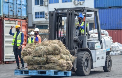 ވަޒީފާ އަށް ތަމްރީނުވުމަށް އެމްޕީއެލްގައި 50 ޖާގަ ހުޅުވާލައިފި