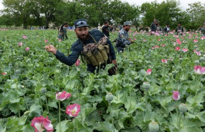 އަފްގާނުން ބޭރުކުރި ތިން ޓަނުގެ ހެރޮއިން އިންޑިއާއިން އަތުލައިގަތް