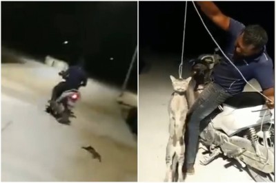 ބުޅަލެއް ދަންޖެއްސުމަށްފަހު މަގުމަތީގައި ދަމާ ވީޑިއޯއެއް، އާއްމުން ރަތަށް!