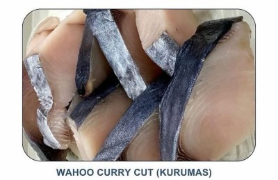 ކޮކާ ފިޝް: މަސް ގަންނަން ދިއުމުގެ ތަކުލީފު ނިމުމަކަށް، ކޮންމެ ވައްތަރެއް ވެސް ސީދާ ގެއަށް