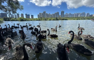 އާބާދުނުވި ޗަކަގަނޑެއް ތިމާވެއްޓާއި ތަރައްގީގެ ރަމްޒަކަށް!