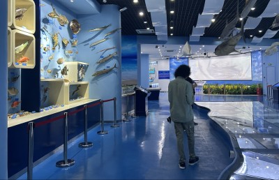 އާބާދުނުވި ޗަކަގަނޑެއް ތިމާވެއްޓާއި ތަރައްގީގެ ރަމްޒަކަށް!