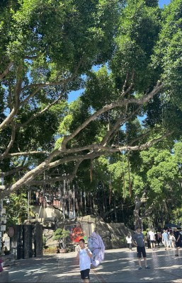 އާބާދުނުވި ޗަކަގަނޑެއް ތިމާވެއްޓާއި ތަރައްގީގެ ރަމްޒަކަށް!