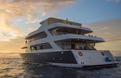 ސަފާރީ އަޑިއަށް ދިއުން: ގަދަ ކަނޑުގައި، މަރުގެ ތުންފަތްމަތީގައި!