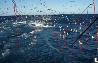 ލޭނުގެ މަސްވެރިކަން ހުއްދަކުރުން: ތިމާވެއްޓާ ގުޅޭ 18 ޖަމިއްޔާއެއްގެ ބޮޑެތި ކަންބޮޑުވުންތަކާއި އިންޒާރު!