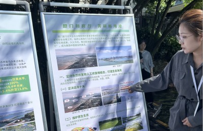 އާބާދުނުވި ޗަކަގަނޑެއް ތިމާވެއްޓާއި ތަރައްގީގެ ރަމްޒަކަށް!