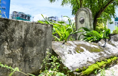 މާފަންނު ސަހަރާގައި ނޮވެމްބަރު 3 ގެ ޝަހީދުންގެ މަހާނަ؛ ތާރީހު ދިރާސާކުރައްވާ ބޭފުޅުންގެ ކަންބޮޑުވުން!