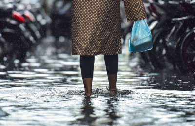 މި ވެހޭ ބޯ ވާރެޔާއި އޭގެ ސައިންސް