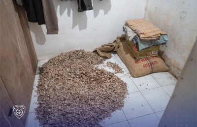 މުޑުދާރުކޮށް ފޯއް ކޮށައި ވިއްކަމުން ދިޔަ ދެ ބިދޭސީއަކު ހުއްޓުވައިފި