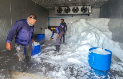 އިތުރު ފަސް ރަށެއްގައި އައިސް ޕްލާންޓް އަޅާނެ ބަޔަކު ހޯދަނީ