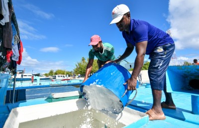 ކޮންމެ މަސް ދޯންޏަކަށް ތިން ޓަނުގެ އައިސް ހިލޭ ދެނީ