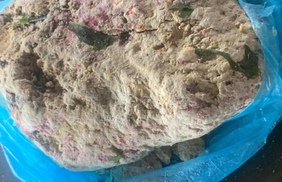 މާވަހަރުތަކެއް ކަމަށް ބެލެވޭ އެއްޗެހިތަކެއް ކޮލަމާފުށިން ފެނިއްޖެ