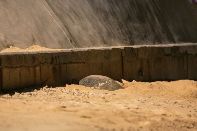 މާލެއަށް އަނެއްކާ ވެސް ވެލައެއް އަރައިފި، އީޕީއޭގެ އިރުޝާދާ އެއްގޮތަށް ދިނީ ހިމާޔަތް