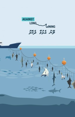 ކަންނެލި އެންމެ ގިނައިން ބާނާ އުތުރުގައި ލޭނު އަޅަން ހުއްދައެއް ނުދޭނެ: މިނިސްޓްރީ