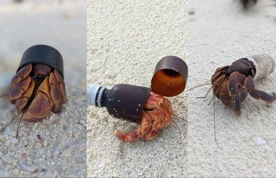 ބަރަވެއްޔަށް ވެސް ޕްލާސްޓިކް ނޫން ގޮތެއް ބޭނުންވެއްޖެ