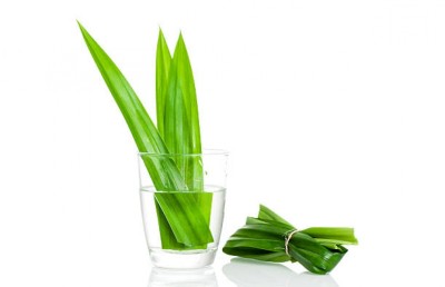 ރާނބާފަތް ހަމައެކަނި ރަހަމީރު ކުރާކަށް ނޫން