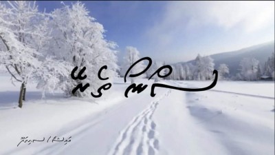 ސްނޯ ތެރޭ 7