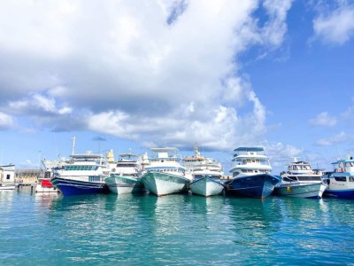 ކޫއްޑޫ ފަޅުގައި އޮތް ހުރިހާ ދޯންޏެއްގެ މަސް ކިރަން ނިންމައިފި
