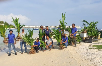 ސްޓެލްކޯއިން 30،000 އަށް ވުރެ ގިނަ ގަސް އިންދައިފި