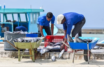 އިމްޕޯޓް އިތުރުވެ އެކްސްޕޯޓު އަށް ޕަސެންޓަށް ދަށަށް
