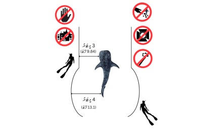 ފެހުރިހި ހިމާޔަތްކުރުމާ ގުޅޭ އާ އުސޫލެއް ހަދައިފި