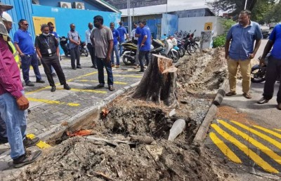 ދިމާވި މައްސަލަ ހައްލުކޮށް، ކަރަންޓު ފޯރުކޮށްދީފި