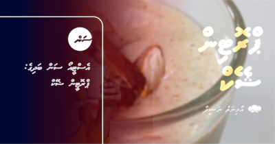 އެސްޓީއޯ ސަން ބަދިގެ: ޕްރޮޓީން ޝޭކް