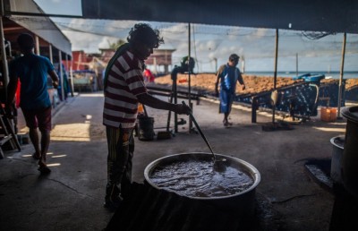 ހޯމް ސްޓޭގެ ފުރަތަމަ ބްރޭންޑަކީ "ރިހާކުރު އައިލެންޑް"