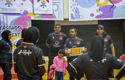 ނުރުހުމާއި ނަފުރަތުގެ ނަތީޖާ ރަނގަޅު، ގޭމްތައް ސަޅި