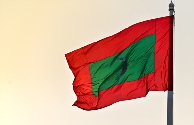 ދިވެހި ދިދަ އާއި ދައުލަތުގެ ނިޝާން ހިމާޔަތްކުރަން ގާނޫނެއް ހަދަނީ