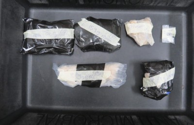 3.5 ކިލޯގެ ޑްރަގްސްއާ އެކު ރާއްޖެ އެތެރެވި ދިވެއްސަކު އަތުލައިގެންފި