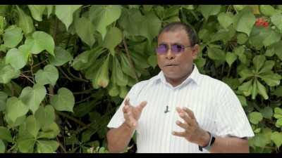 ހޯމް ސްޓޭ: މެހުމާންދާރީން ރަށަށް ޑޮލަރު!