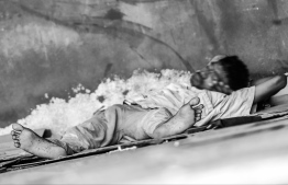 ފްލެމިންގޯ އަށް ވުރެ އަހަރެމެންގެ ނަސީބު ދެރަ؟