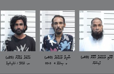 ރާއްޖެއަށް މަސްތުވާތަކެތި އެތެރެކުރަން އުޅުނު ތިން މީހެއްގެ މައްސަލަ ޕީޖީ އަށް
