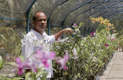 ކަނުހުރާގެ 16،000 ގަހުގެ އޯކިޑް ބަގީޗާ