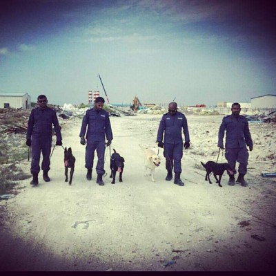 ފާރަގެމައިގެ ޚާއްސަ ތަމްރީނެއް މާލޭގައި ހިންގަނީ