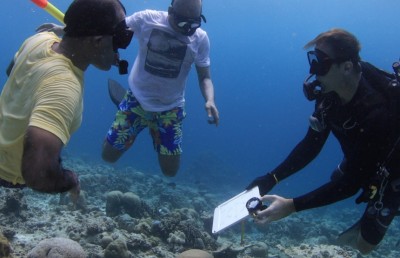 މުރަކަ އާލާވެ ރާއްޖޭގެ ފަރުތައް އިއާދަވާ ކަމުުގެ ނިޝާންތައް ފެނިއްޖެ