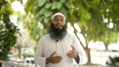 ޔޯގާ ހަމަނުޖެހުން: ޝައިހް ފަޒްލޫން ދޫކޮށްލައިފި