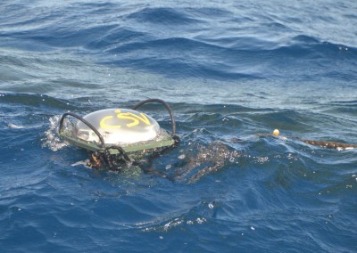 ޒަމާނީ މަސްވެރިކަމުގައި ބޭނުންކުރާ އޮއިވާލި ކަނދުފަތި