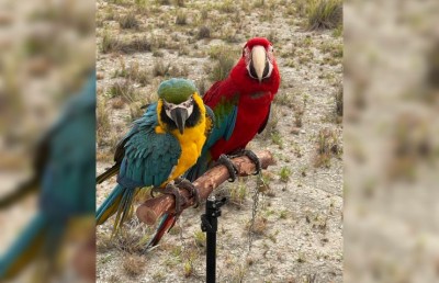 90،000ރ. ގެ މަކާއުއެއް ގެއްލިގެން އިނާމަކަށް 25،000ރ.