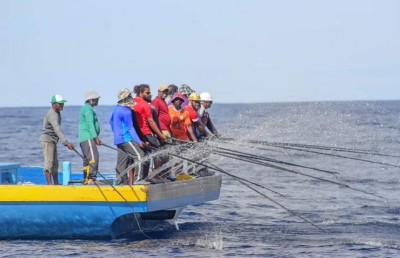 މަސްވެރިކަމުގެ އެވޯޑްތަކަށް ކުރިމަތިލާން ހުޅުވާލައިފި
