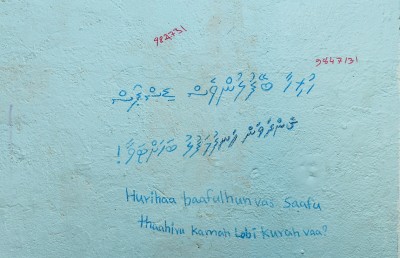 ފިހާރަ، ކެފޭ، ކާރު... ކޮންތާކުން ހޯދާހާ ފައިސާއެއް؟
