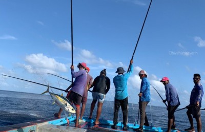 ހަމަ އަގު ހޯދަން އޮޑިވެެރިން ކުންފުންޏެއް ހަދަނީ