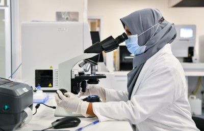 ޓްރީޓޮޕް: މިއީ މިހާރު އެހެން ތަނެއް!