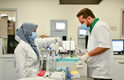 ޓްރީޓޮޕް: މިއީ މިހާރު އެހެން ތަނެއް!