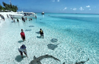 ހަނީމޫނަށް މަރުގެ ނިމުމެއް، ދެއްކީ ހުސް އިހުމާލު!