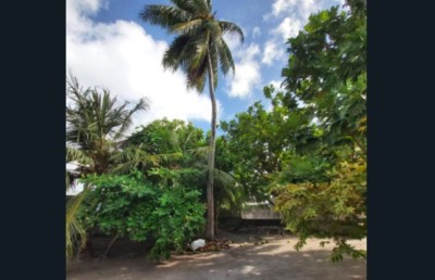 ނިލަންދޫގައި ޒުވާނަކު ރުކަކުން ވެއްޓި ފައި ބިނދި، އިތުރު ސީރިއަސް އަނިޔާތަކެއް!