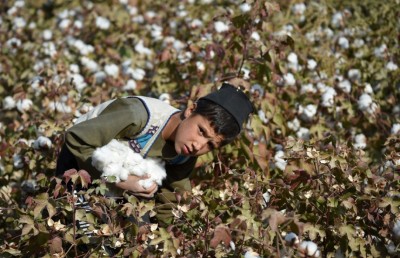 އަފްގާނުގައި އައިއެސްގެ ހަރަކާތްތައް ފުޅާވާތީ އެމެރިކާ ކަންބޮޑުވޭ