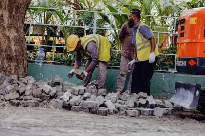 ގަސްތައް ނަގަނީ މަޖުބޫރުވެގެން، ނަގާ ކޮންމެ ގަހަކަށް ގަހެއް އިންދާނަން: އާރުޑީސީ